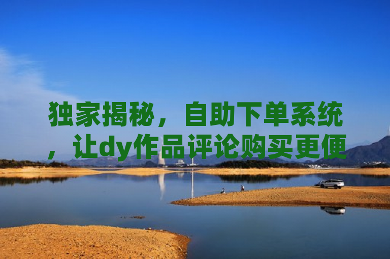 独家揭秘，自助下单系统，让dy作品评论购买更便捷