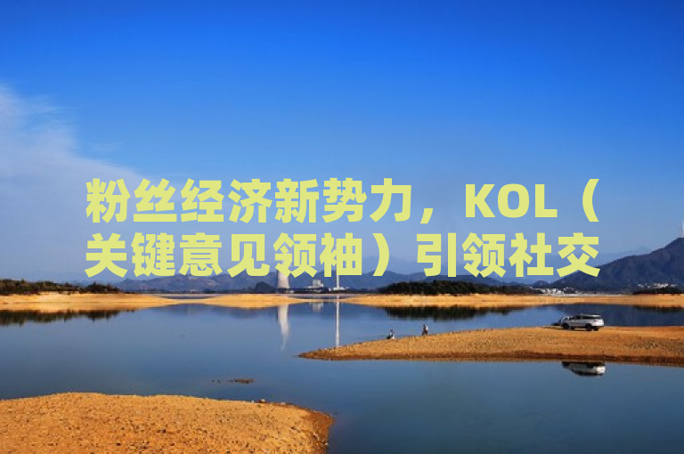 粉丝经济新势力，KOL（关键意见领袖）引领社交媒体营销新趋势