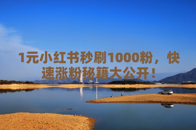 1元小红书秒刷1000粉，快速涨粉秘籍大公开！