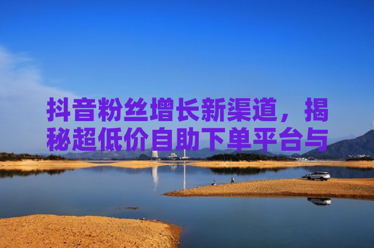 抖音粉丝增长新渠道，揭秘超低价自助下单平台与QQ空间点赞服务