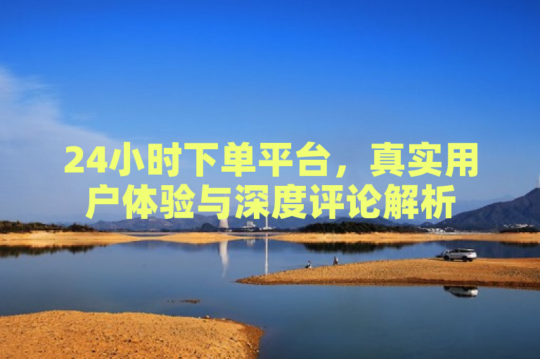 24小时下单平台，真实用户体验与深度评论解析
