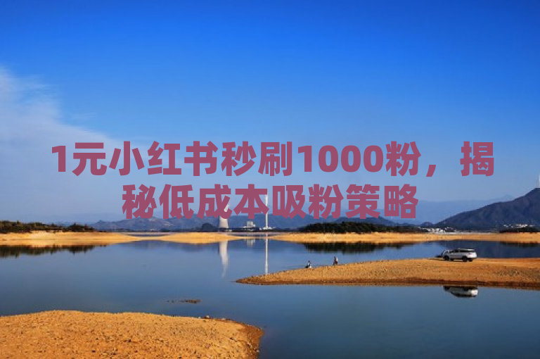 1元小红书秒刷1000粉，揭秘低成本吸粉策略