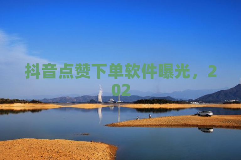 抖音点赞下单软件曝光，2025必备神器