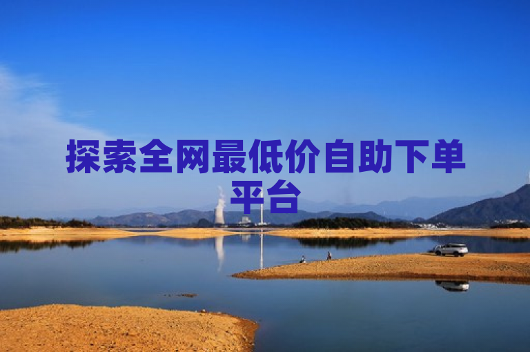 探索全网最低价自助下单平台