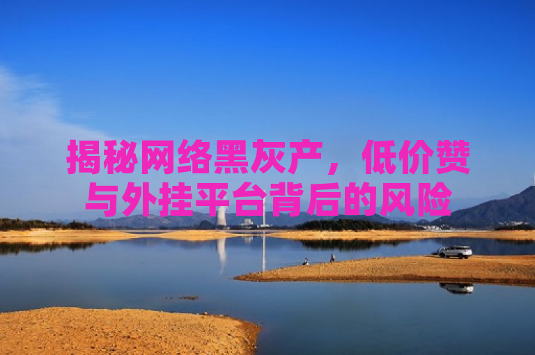 揭秘网络黑灰产，低价赞与外挂平台背后的风险