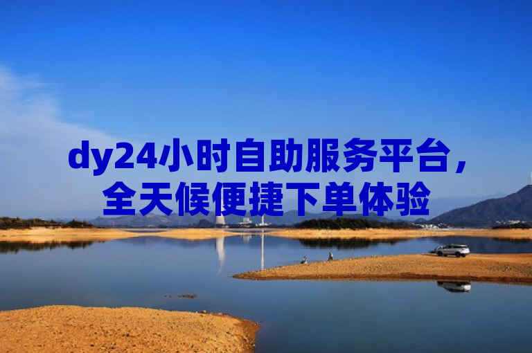 dy24小时自助服务平台，全天候便捷下单体验