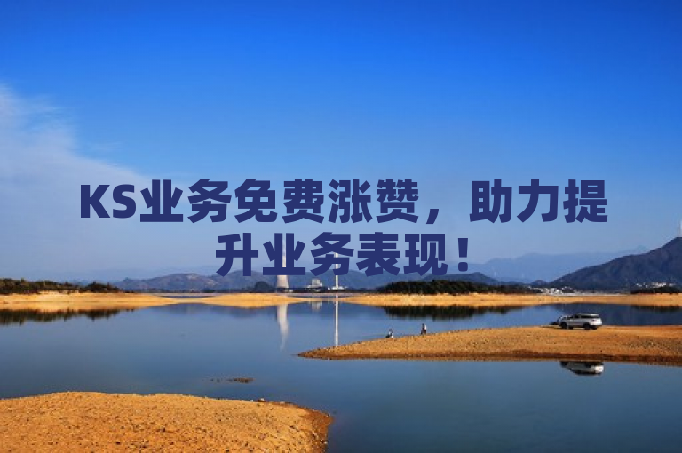 KS业务免费涨赞，助力提升业务表现！
