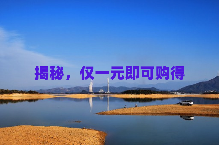 揭秘，仅一元即可购得500赞，2025年必学技巧！