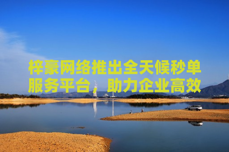 梓豪网络推出全天候秒单服务平台，助力企业高效应对业务高峰。