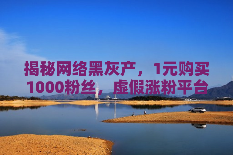 揭秘网络黑灰产，1元购买1000粉丝，虚假涨粉平台曝光