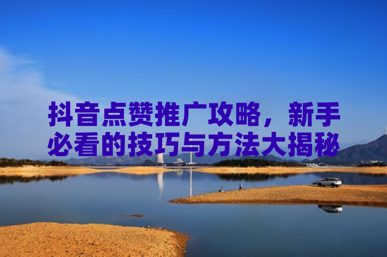 抖音点赞推广攻略，新手必看的技巧与方法大揭秘！