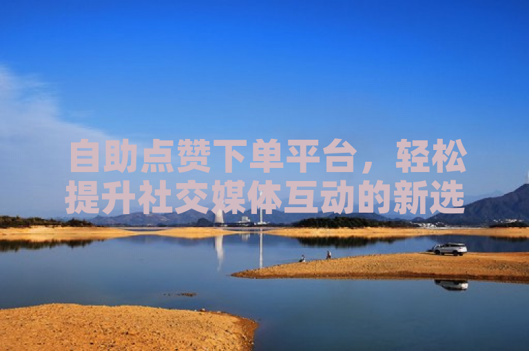 自助点赞下单平台，轻松提升社交媒体互动的新选择