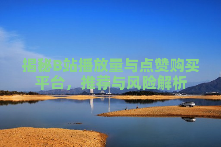 揭秘B站播放量与点赞购买平台，推荐与风险解析