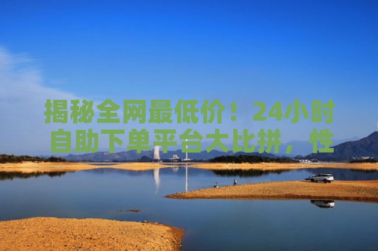 揭秘全网最低价！24小时自助下单平台大比拼，性价比之王竟是它？