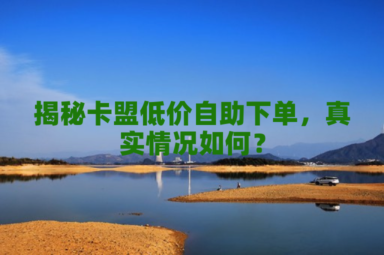 揭秘卡盟低价自助下单，真实情况如何？