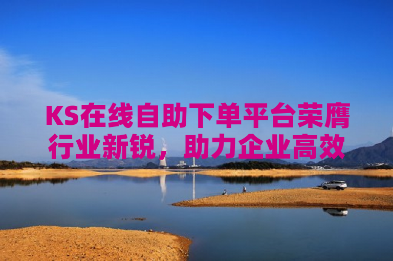 KS在线自助下单平台荣膺行业新锐，助力企业高效运营