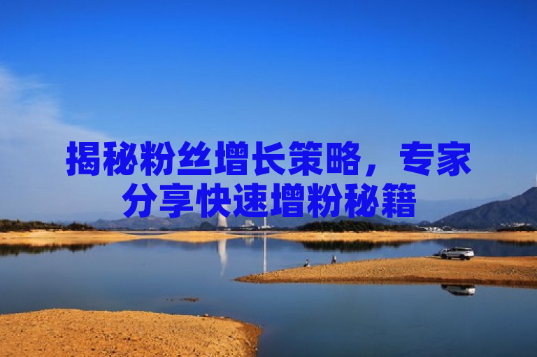 揭秘粉丝增长策略，专家分享快速增粉秘籍