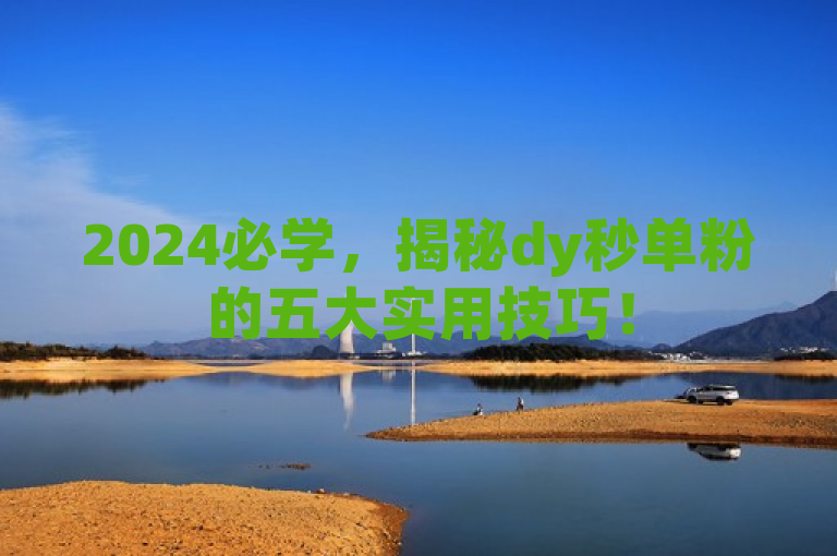 2024必学，揭秘dy秒单粉的五大实用技巧！