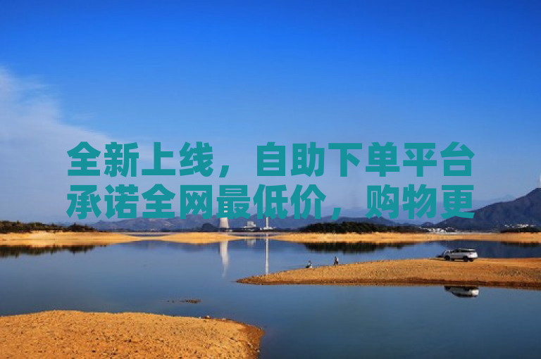 全新上线，自助下单平台承诺全网最低价，购物更省心！