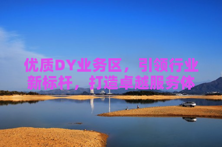 优质DY业务区，引领行业新标杆，打造卓越服务体验