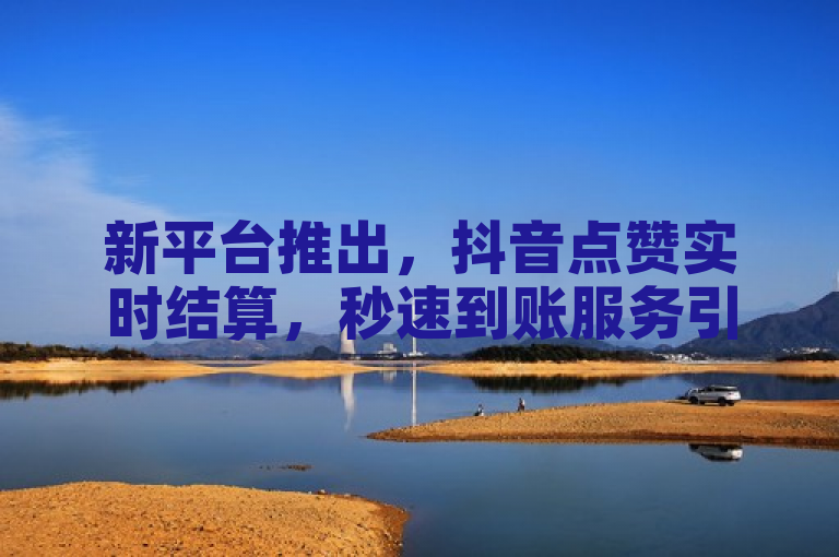新平台推出，抖音点赞实时结算，秒速到账服务引领潮流
