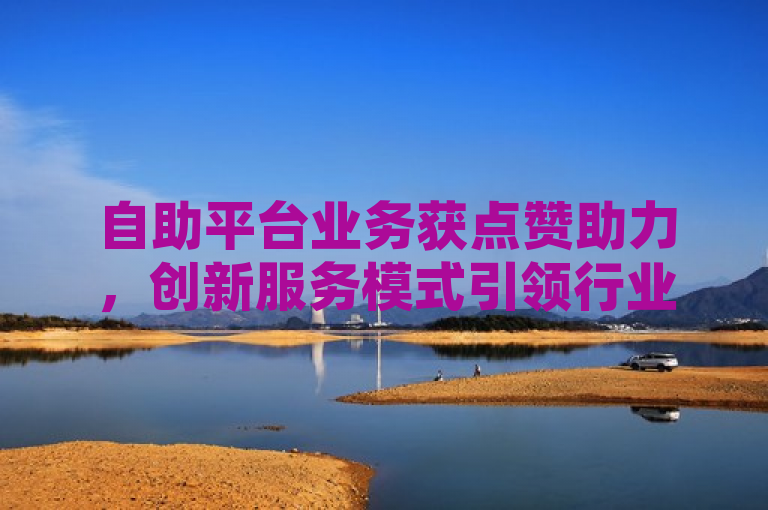 自助平台业务获点赞助力，创新服务模式引领行业新风尚
