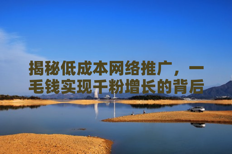 揭秘低成本网络推广，一毛钱实现千粉增长的背后策略，揭示了一种低成本高效益的网络推广策略，即通过小额投入（如一毛钱）来快速增加社交媒体粉丝数量（达到一千粉）。这种策略的核心在于利用低成本的营销手段，实现高额的收益增长，从而在竞争激烈的市场中脱颖而出。