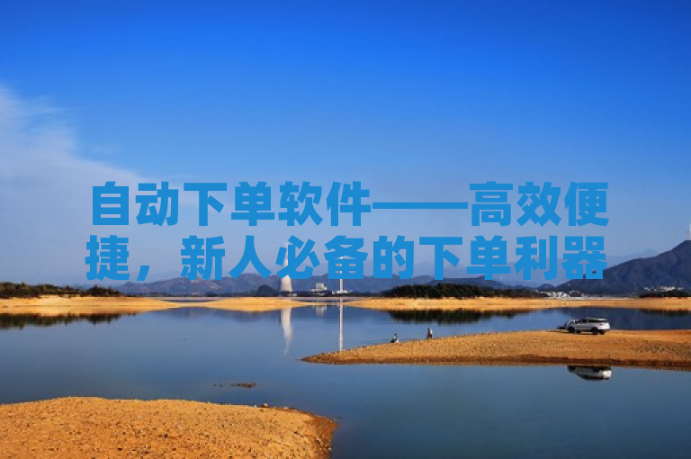 自动下单软件——高效便捷，新人必备的下单利器！