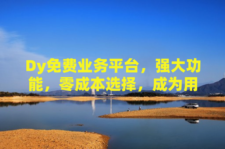 Dy免费业务平台，强大功能，零成本选择，成为用户首选！