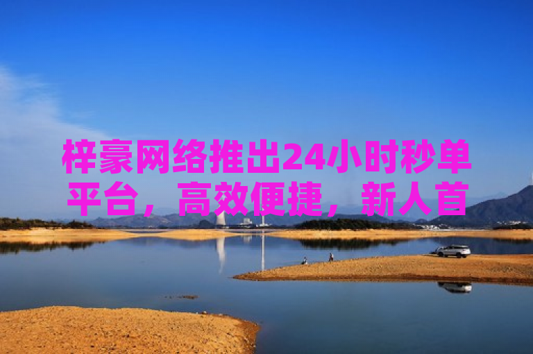 梓豪网络推出24小时秒单平台，高效便捷，新人首选！