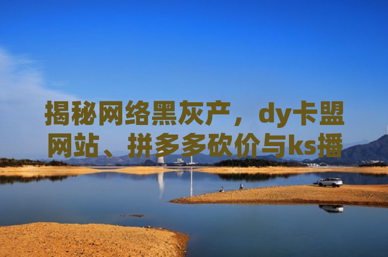 揭秘网络黑灰产，dy卡盟网站、拼多多砍价与ks播放量业务背后的风险与道德问题，旨在揭示当前网络上一些不正当手段提升社交媒体影响力的现象，同时强调了这些行为背后的风险和道德问题。通过提及dy卡盟网站、拼多多砍价以及ks播放量业务，标题吸引了读者对这些具体案例的关注，进而探讨更广泛的网络黑灰产业问题。