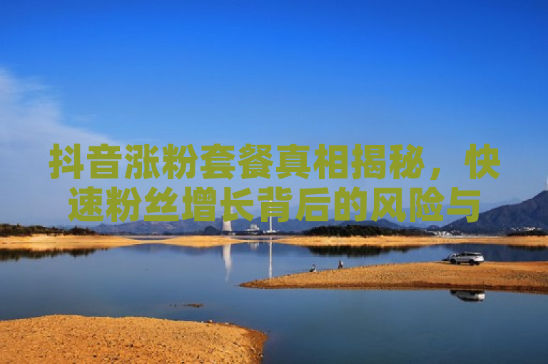 抖音涨粉套餐真相揭秘，快速粉丝增长背后的风险与考量