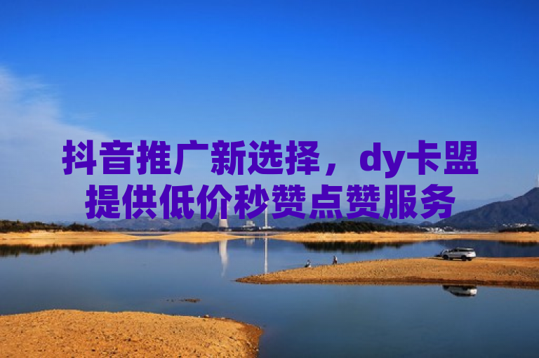 抖音推广新选择，dy卡盟提供低价秒赞点赞服务