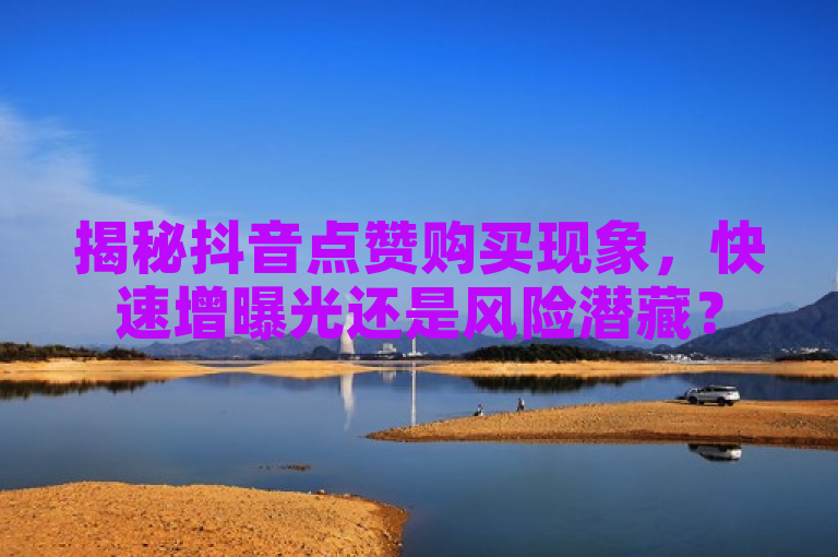 揭秘抖音点赞购买现象，快速增曝光还是风险潜藏？