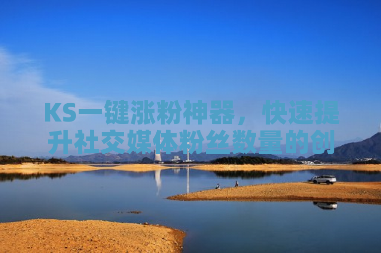 KS一键涨粉神器，快速提升社交媒体粉丝数量的创新工具