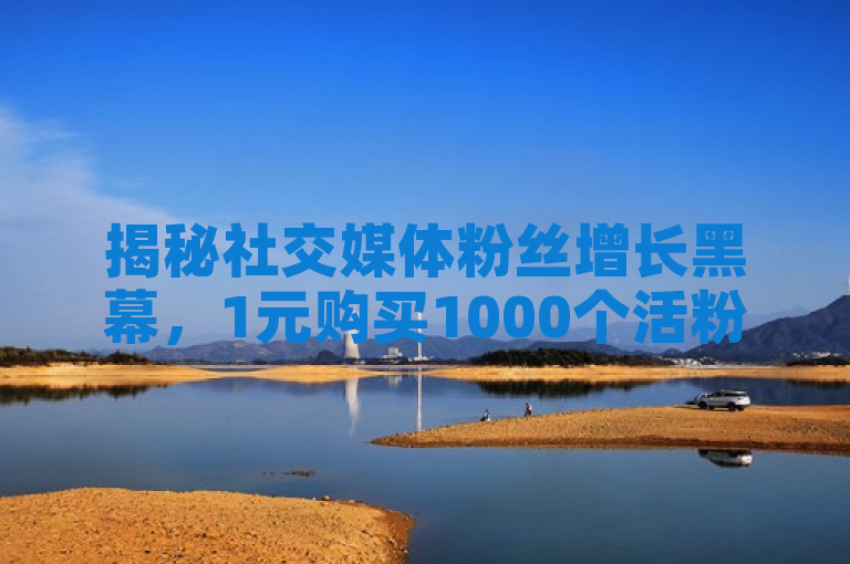 揭秘社交媒体粉丝增长黑幕，1元购买1000个活粉？
