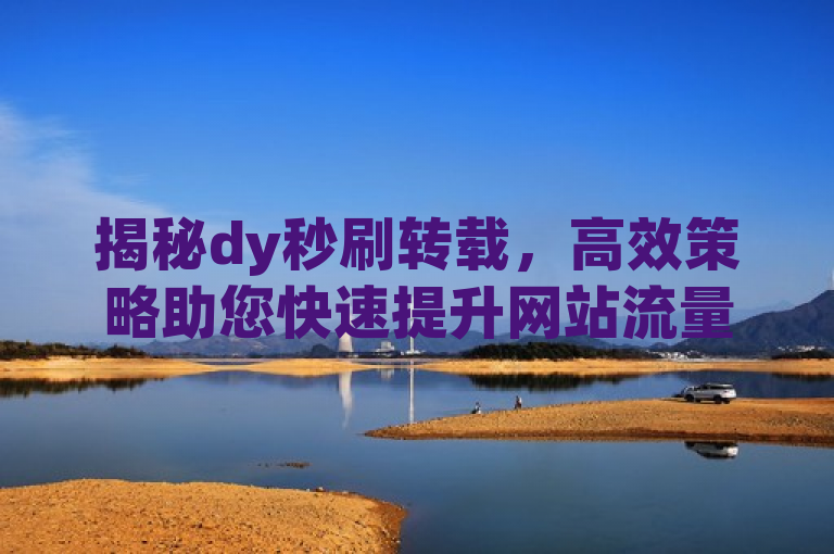揭秘dy秒刷转载，高效策略助您快速提升网站流量