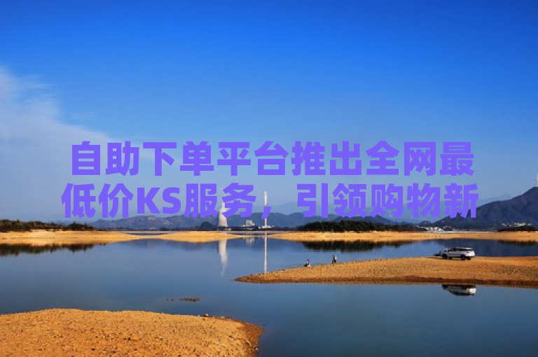 自助下单平台推出全网最低价KS服务，引领购物新风尚