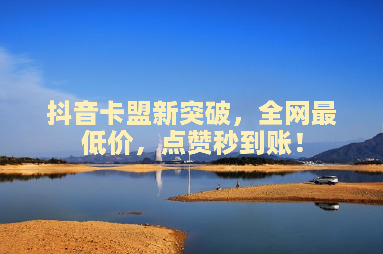 抖音卡盟新突破，全网最低价，点赞秒到账！