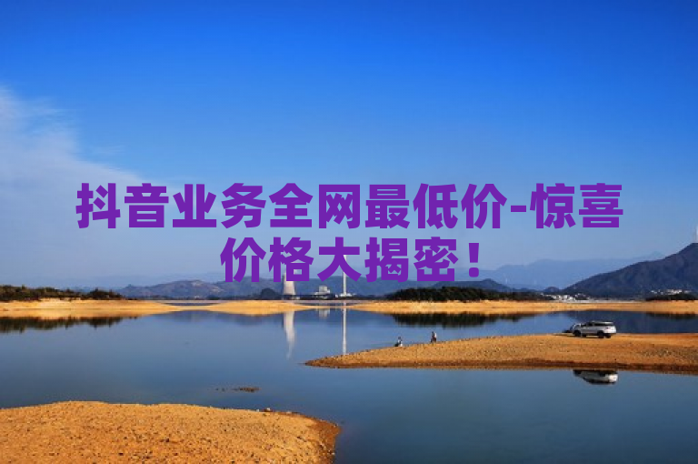 抖音业务全网最低价-惊喜价格大揭密！