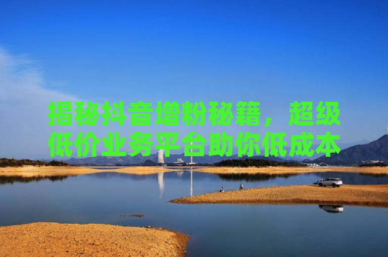 揭秘抖音增粉秘籍，超级低价业务平台助你低成本快速提升粉丝量