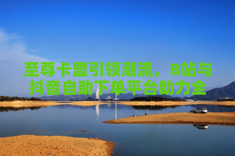 至尊卡盟引领潮流，B站与抖音自助下单平台助力全网货源