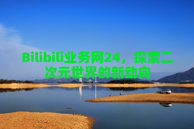 Bilibili业务网24，探索二次元世界的新动向