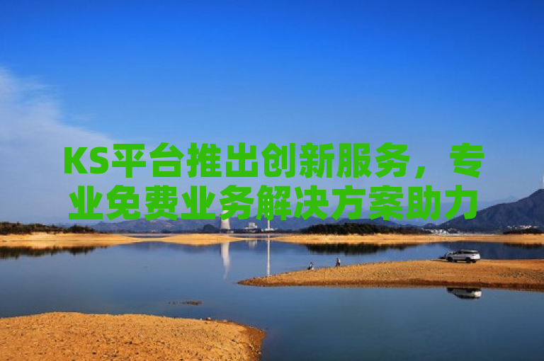 KS平台推出创新服务，专业免费业务解决方案助力企业成长