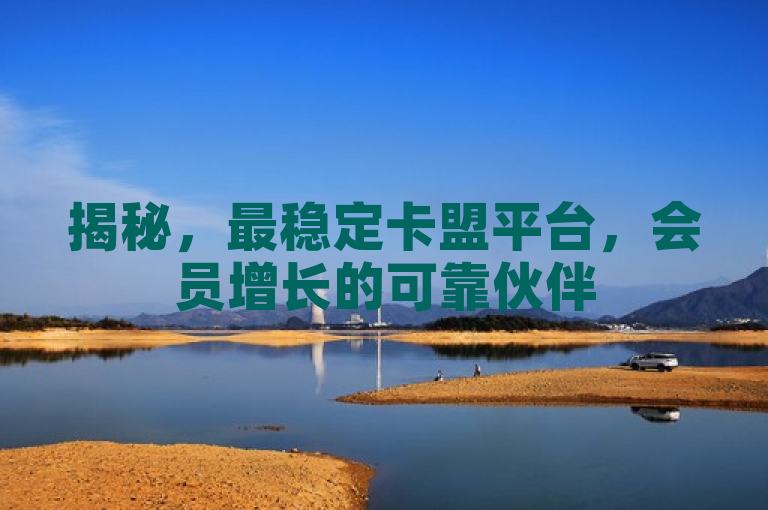 揭秘,最稳定卡盟平台,会员增长的可靠伙伴