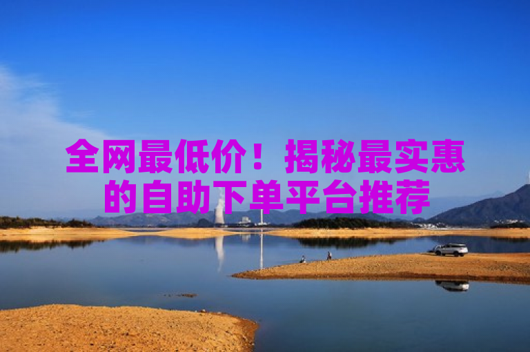 全网最低价！揭秘最实惠的自助下单平台推荐