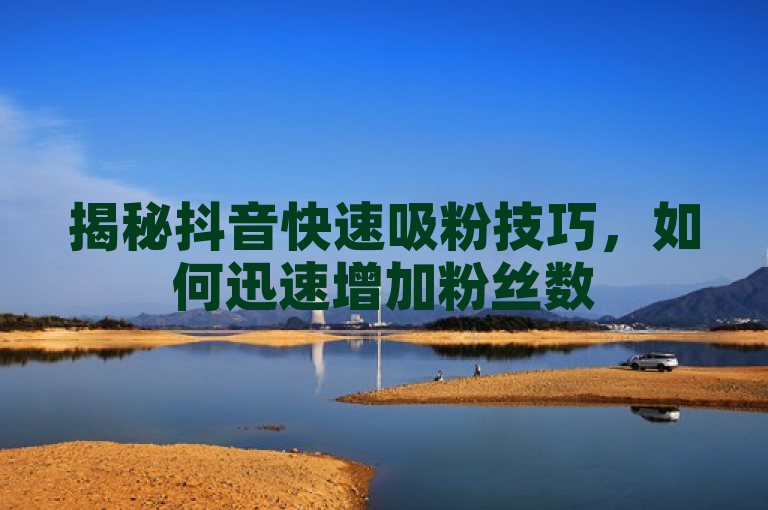 揭秘抖音快速吸粉技巧，如何迅速增加粉丝数