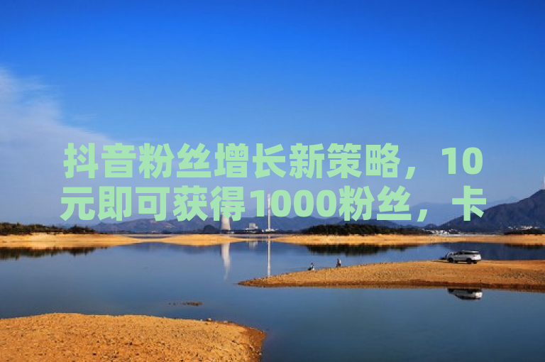 抖音粉丝增长新策略，10元即可获得1000粉丝，卡盟平台引发关注