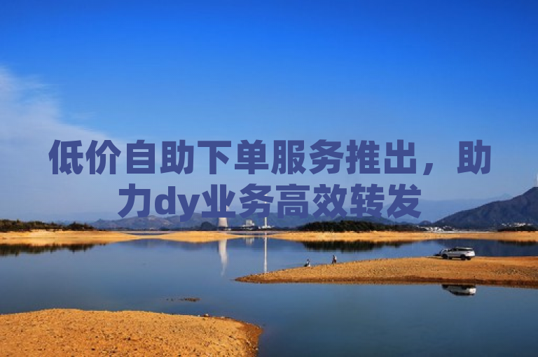 低价自助下单服务推出，助力dy业务高效转发