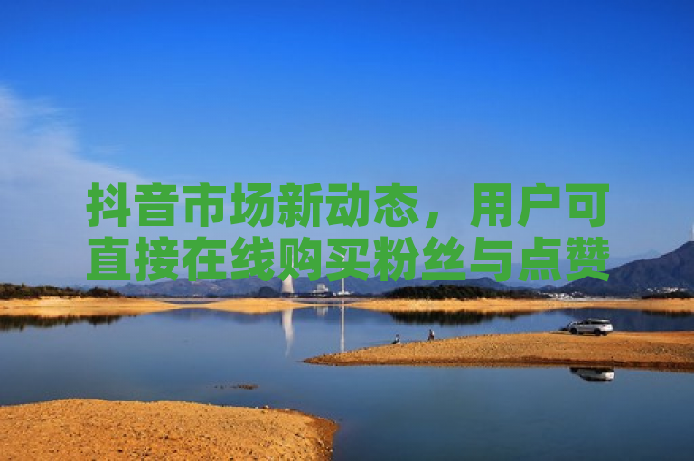 抖音市场新动态，用户可直接在线购买粉丝与点赞服务